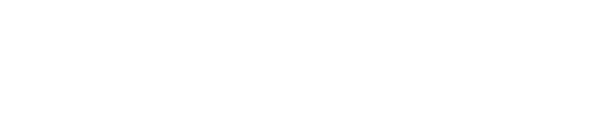 punt casino